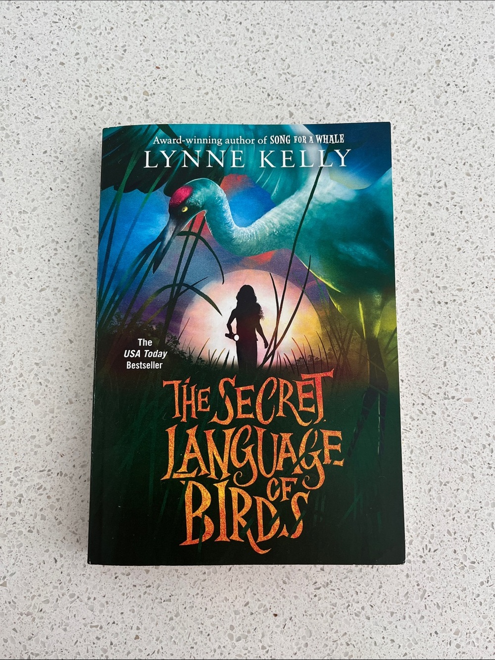The Secret Language of Birds book